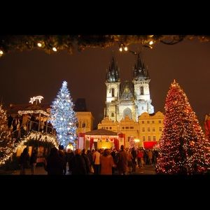 Meet your Posher, Tawnia